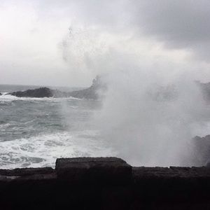 Meet your Posher, Kristi